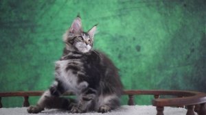 Tamerlan 3,5 месяца