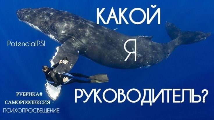 СТОЛКНОВЕНИЯ ЛИЧНЫХ ИСТОРИЙ В КОЛЛЕКТИВЕ