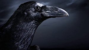 Пять песен Любимые песни  музыка А  Долгов  2019 г