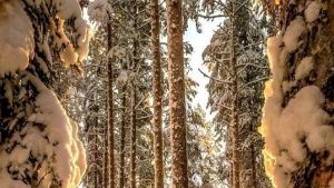 27-02-2026 Жизнь в деревне 🏡.Разбор полётов.