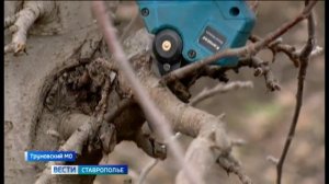 «Вести. Ставропольский край» 27.02.2026 (9.30)