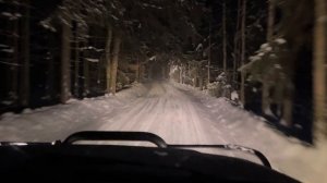 В лесу у Ладоги. Февраль 2026