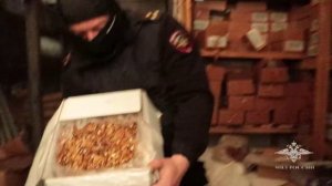Более 10 тонн поддельного шоколада для продажи в интернете изъяли под Владимиром