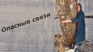 Как найти опору в себе после выхода из брака или потери мужчины, который и составлял основную опору