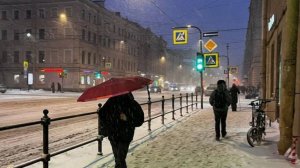 Метели, мокрый снег и дождь: Санкт-Петербург накрыло всеми видами осадков