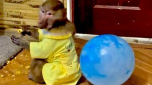 Я одна и Маня с Тосей просто ВЫНЕСЛИ мне МОЗГ, единственный кто может помочь это Олег Зубков!