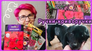 ЗАРЫТЬ или подождать? 🕵️ВОСПИТЫВАТЬ ребёнка надо !)))