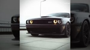 эдит про dodge challenger Nellcat
mogge тренд