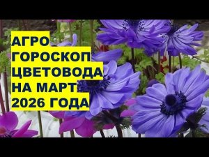 Март 2026: Самые Лучшие Дни для Посадки Цветов?!