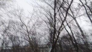 27 февраля один день до весны.. моя семья и прогноз до вечера без осадков...