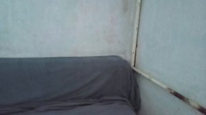 1000014069.mp4  Что я придумала использовать  вместо теней и как жарила яичницу