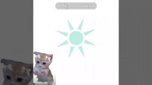 1000009790.mp4