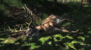 theHunter Classic - 2026-02-26 23-09-19