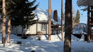 Планирую работы в теплицах. Как буду высаживать помидоры. В середине марта посею редиску и салаты