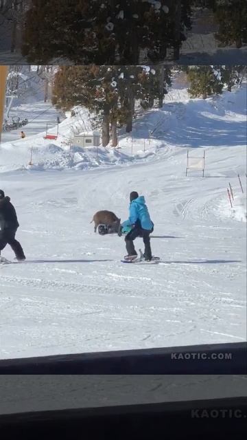 VID_20251222_080835_076