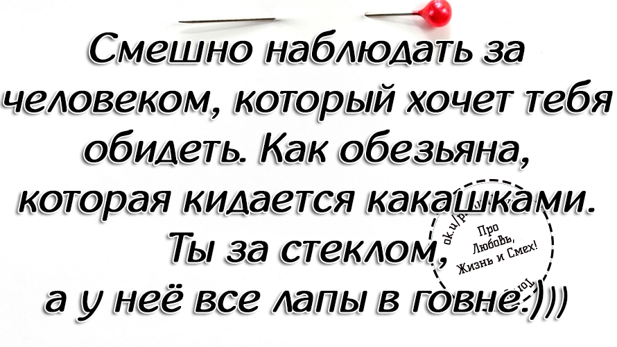 А не надо меня никак понимать 😲 смотреть онлайн