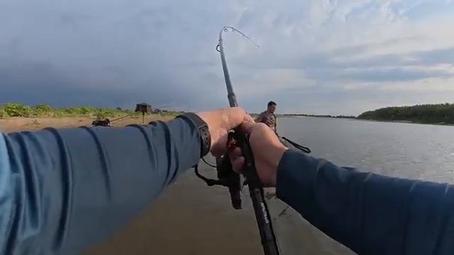 ВОТ ЭТО МОНСТРЫ! ТРОФЕЙНАЯ РЫБАЛКА НА ВОЛГЕ! Рыбалка в Астрахани 2025 смотреть онлайн