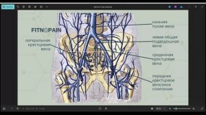 Обережка. Трусы носить или НЕ носить
