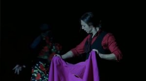 "ДНК Кармен", промо (2)  - спектакль фламенко (Н. Зайкова)