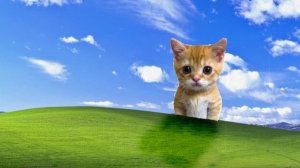 играю в майн с железа до алмаски с другом