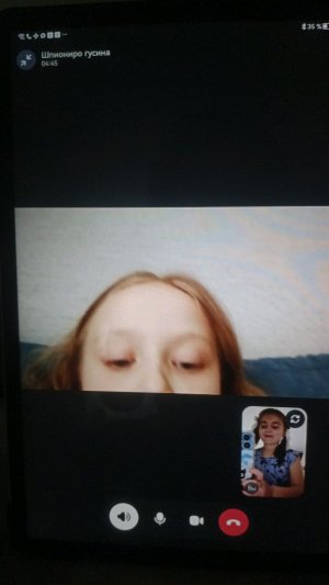 моя. падруга