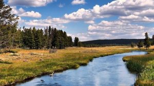 Зеркальный шар  сл  Б  Фабрикант муз  А  Долгов  исп  А  Долгов