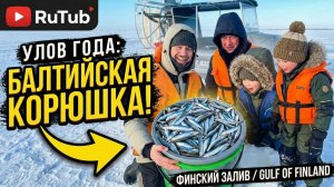 зимняя рыбалка на корюшку финский залив 2026