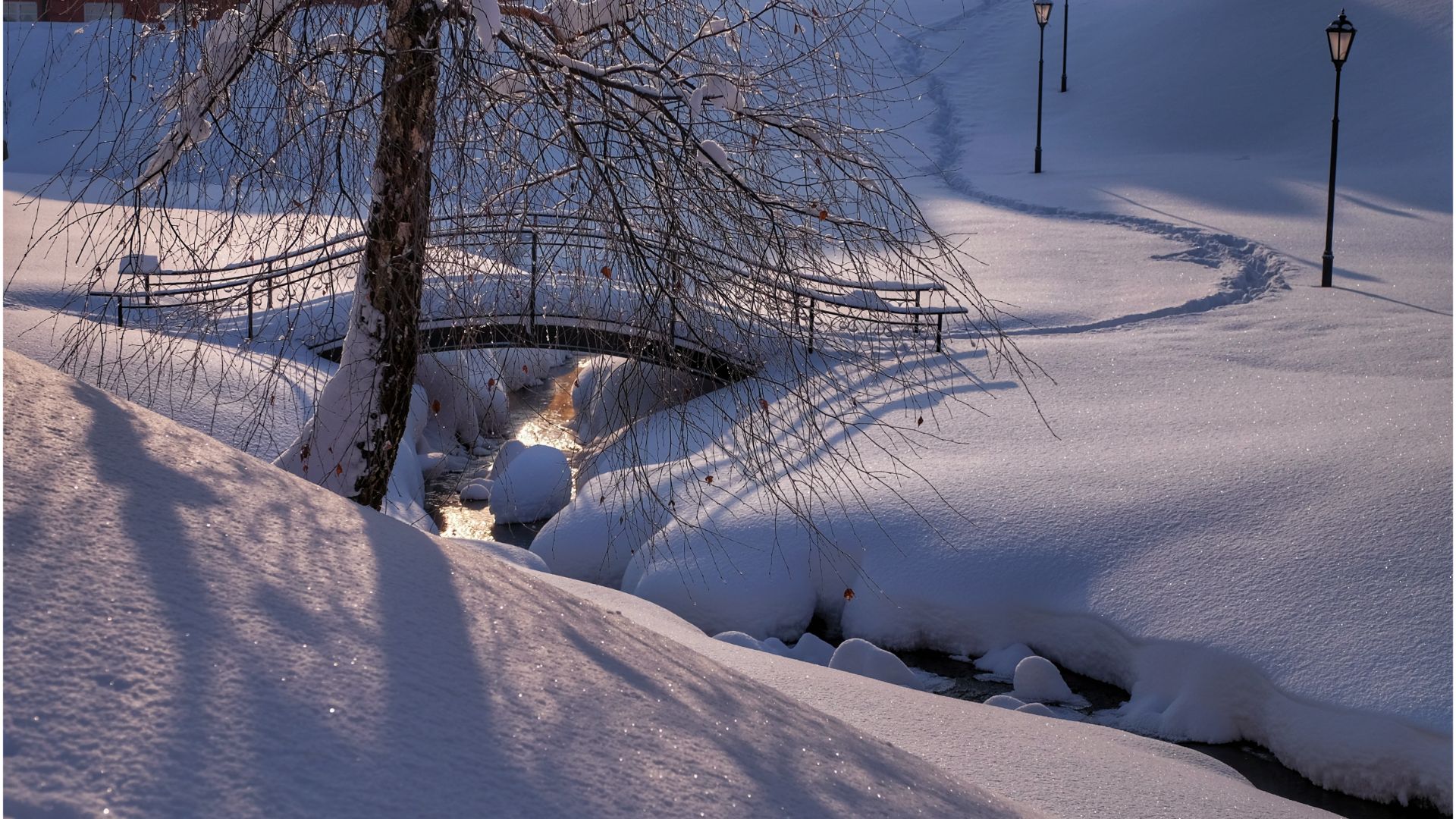 Зимний этюд