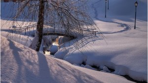 Зимний этюд