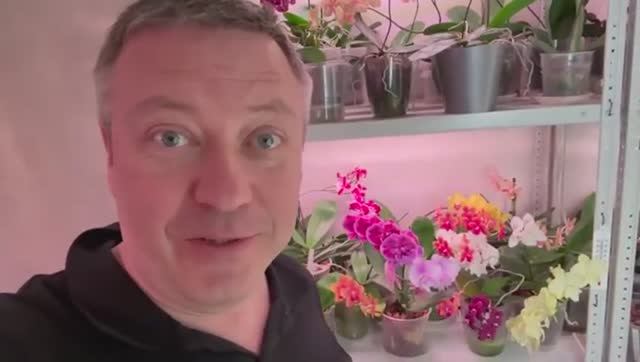 Жизнь вне орхидей- я в ЭЙФОРИИ от этого приобретения с экономил на еде на полезности в дом на Юге смотреть онлайн