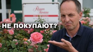 Новые сорта роз от Тантау без покупателей
