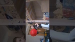 возвращаю быр-быр патапима 5 сезон