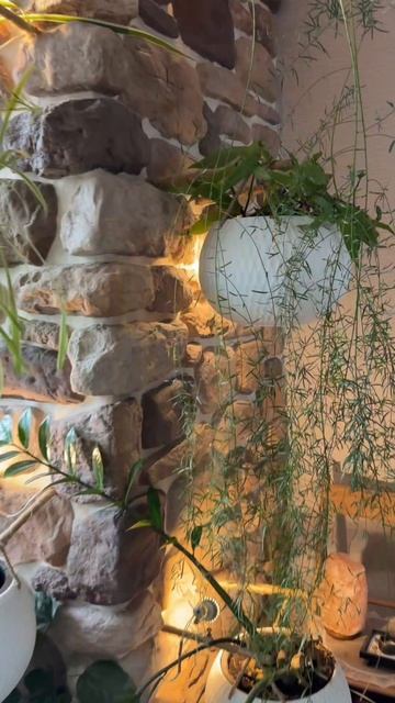 Квартира Гая 1 Квартира Гая 1