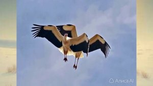 Тонкой струйкой осени.