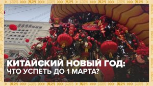 Фестиваль «Китайский Новый год» в Москве продлится до 1 марта — Москва 24 | Контент