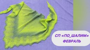 СП «Пошалим» Февраль