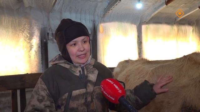 Чөркөөххө Жегусовтар хаһаайыстыбаларыгар. смотреть онлайн