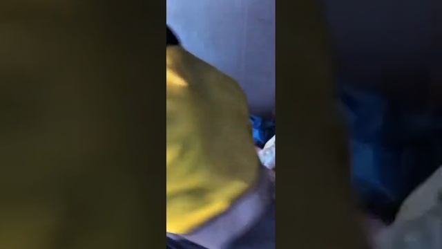 Алеуты лишились палатки и продали золото смотреть онлайн