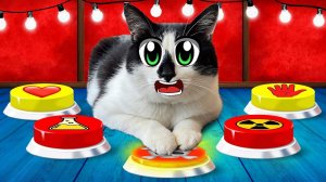 КОТ МАЛЫШ УПРАВЛЯЕТ НАМИ 24 ЧАСА с ПОМОЩЬЮ КНОПОК! ЗАДАНИЯ от ПОДПИСЧИКОВ!