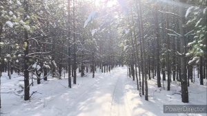 Липецкая_обл._Озеро_Ритц_16.02.25