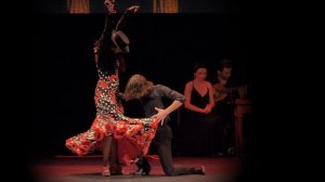 "ДНК Кармен", промо  - спектакль фламенко (Н. Зайкова)