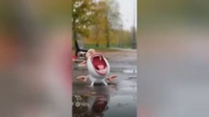 Буба ИИ часть 3