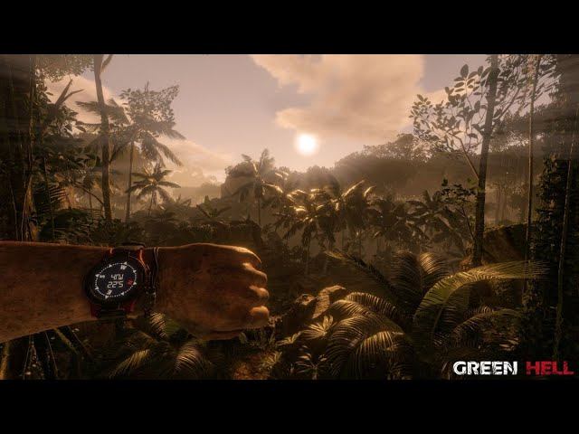 Green Hell.Выживание в джунглях 2.