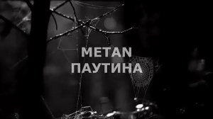 METAN-Паутина