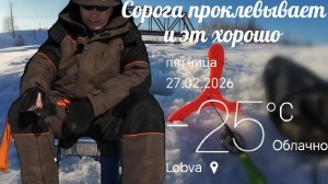 Рыбалка в Феврале (Глухозимье ). Приехал на часик, два, сорога Клевала час, потом как отрубили.