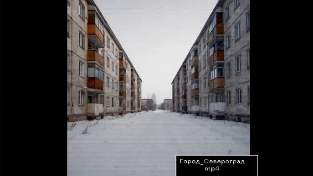 Североград_VID_20260227_14:33:48_412.mp4.mov
