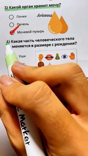 Викторина №2 (Анатомия человека)
