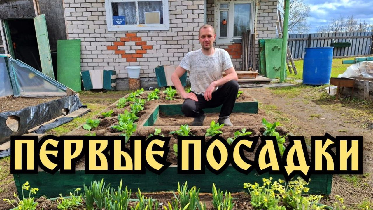 Дача. Цветы. Первые посадки рассады. Очень много рассады. Дача. Цветы. Первые посадки рассады. Очень много рассады.