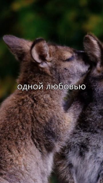 Любовь Одна 5 куплет Зинаида Гиппиус стихиолюбви серебряный_век песниолюбви