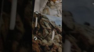 Я получил муравьиную ферму всё объяснил по порядку